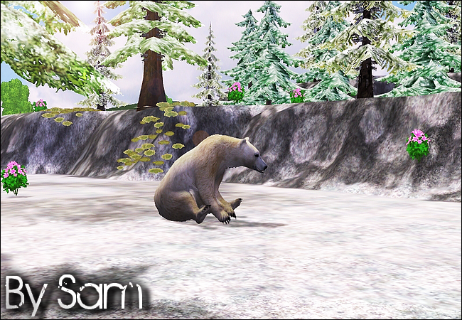 http://img87.xooimage.com/files/0/1/0/polarbear3-36f47b9.png