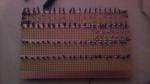 Récifal 240l Imag0734-377d384