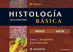 histologia basica junqueira e carneiro 11 ed
