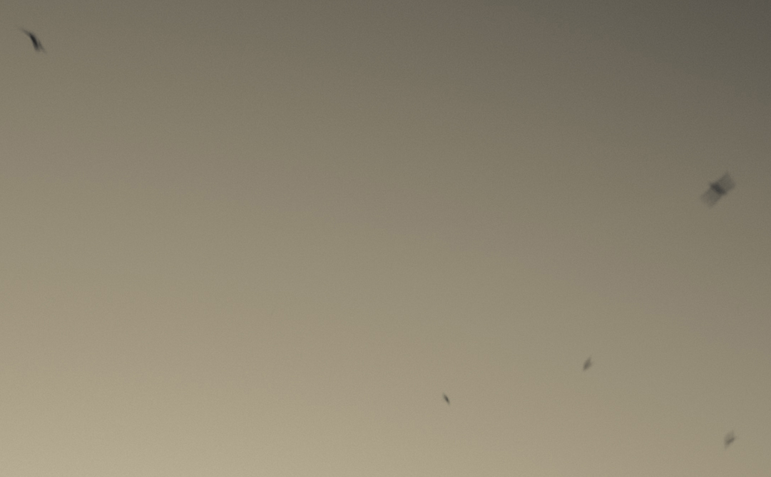 detalle-3680a56.jpg